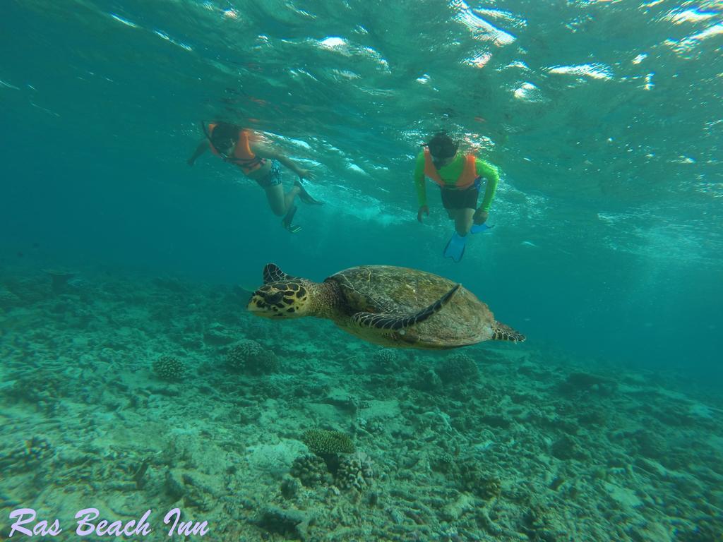 Ras Beach Inn Rasdhoo Exteriér fotografie