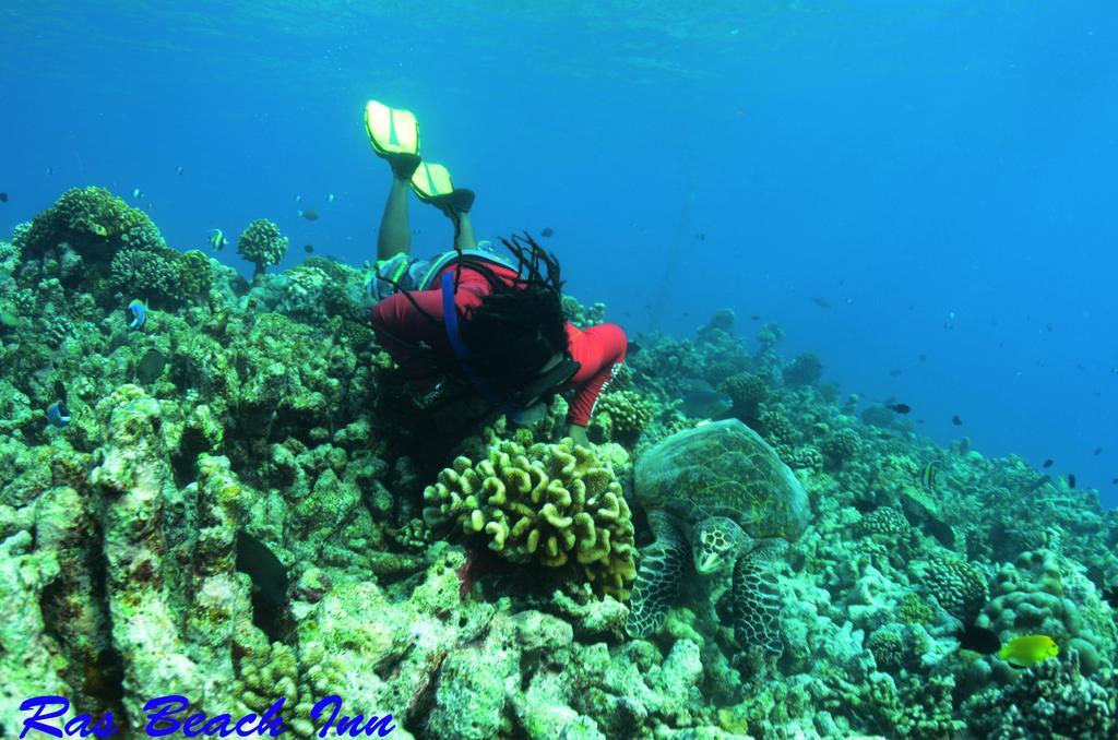 Ras Beach Inn Rasdhoo Exteriér fotografie