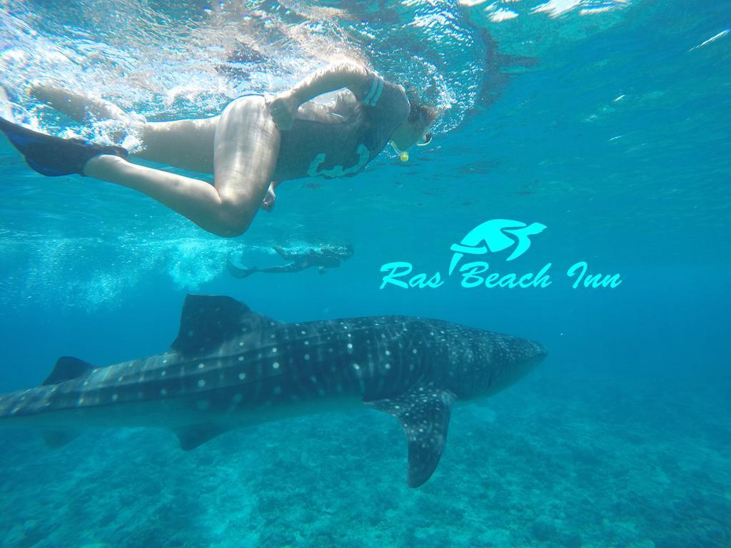 Ras Beach Inn Rasdhoo Exteriér fotografie
